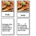 Zoology-Parts Of Invertebrates - Parts Of A Nematode (roundworm) 3-Part Cards With Definitions