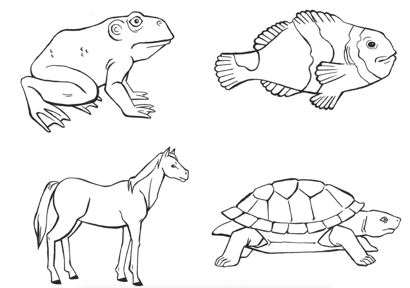 Zoology-Parts Of Vertebrates - Collection Of 5 Sets Parts Of All Chordates 3-Part Cards With Definitions And Objects
