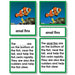 Zoology-Parts Of Vertebrates - Parts Of A Fish 3-Part Cards With Definitions And Object