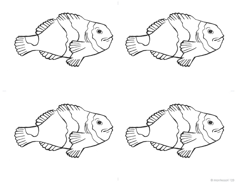 Zoology Montessori Materials | Montessori123 | Learning Cards ...