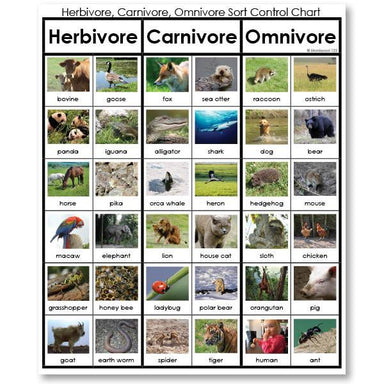 Zoology-Sorting Games - Herbivore, Carnivore Or Omnivore Sorting Cards