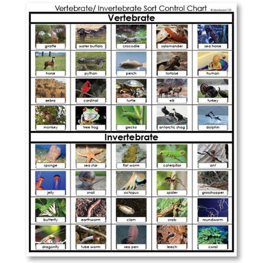 Zoology-Sorting Games - Invertebrate Or Vertebrate Sorting Cards