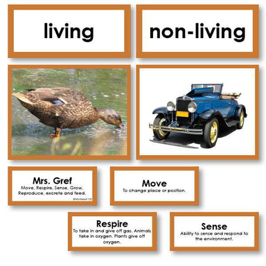 Zoology-Sorting Games - Living Or Non-Living Sorting Cards