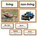 Zoology-Sorting Games - Living Or Non-Living Sorting Cards